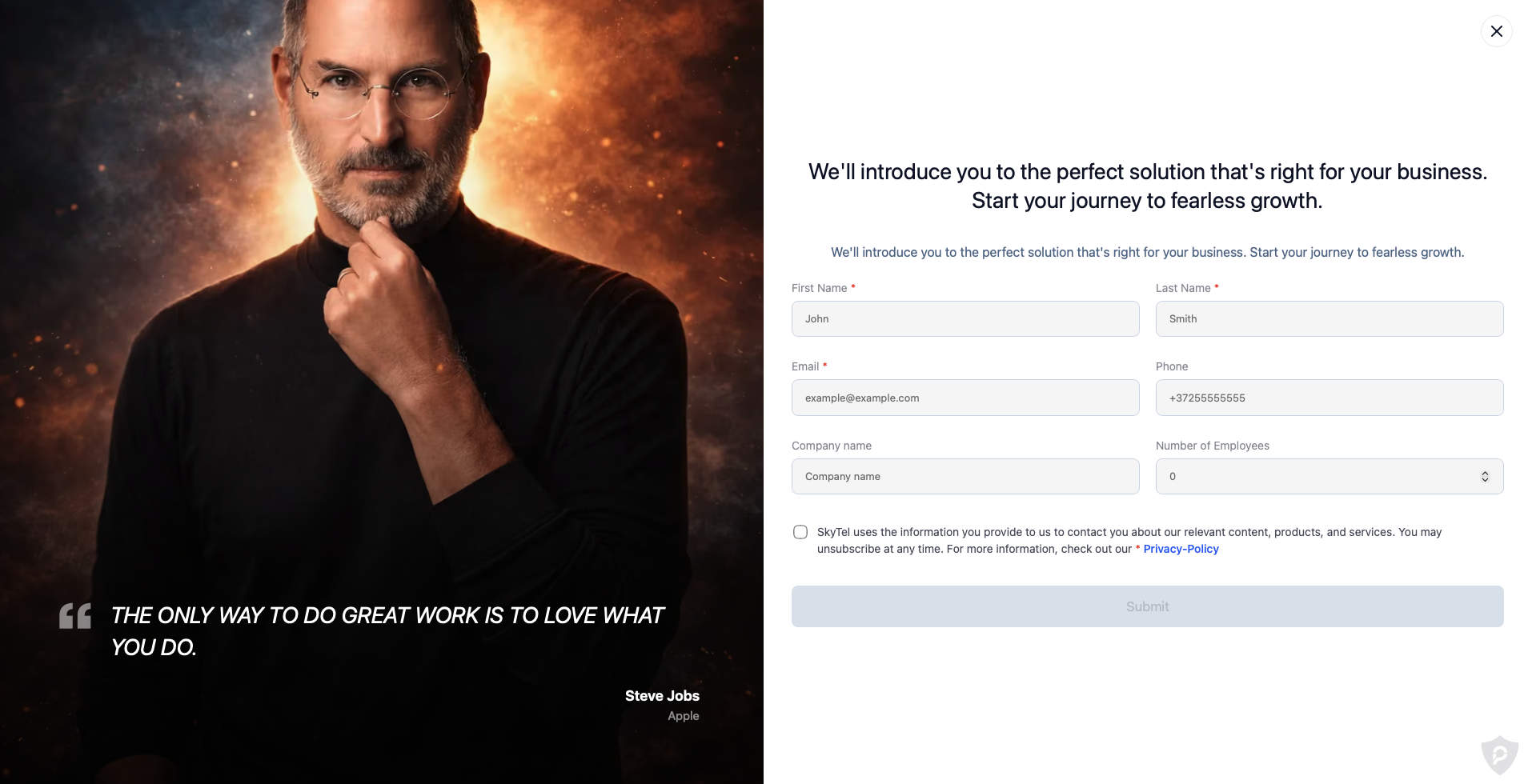 SkyTel — Cloud Telephony & VoIP Business Platform